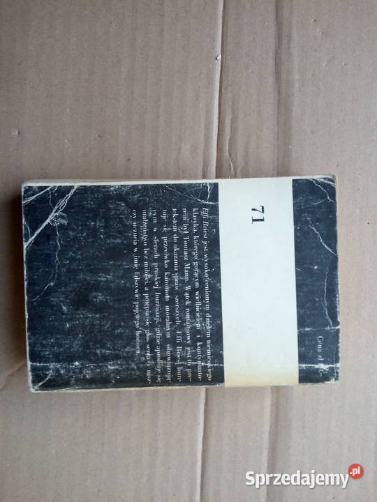 Effi Briest Theodor Fontane Sokółka