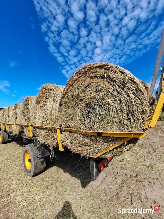 Siano koni z dowozem baloty siana koni z Koziegłowy