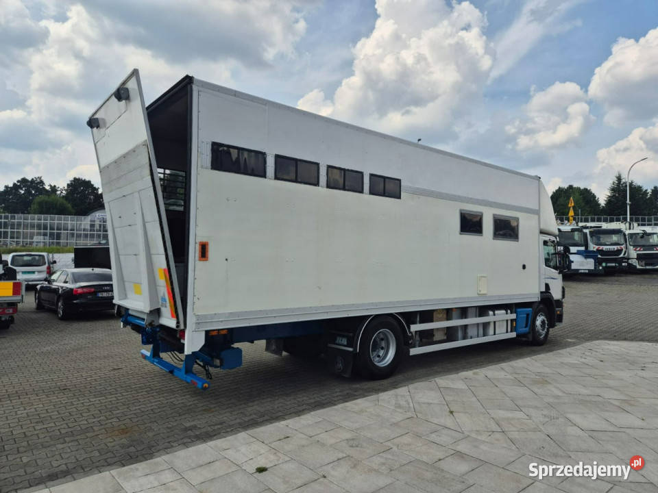 Scania P94 300 4X2 Scania P94LB 300 4X2 KONIOWÓŻ diesel Łaziska Górne