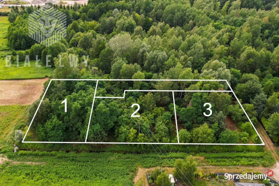 sprzedaży działki Wilcza Góra Polna 1195m2 mazowieckie