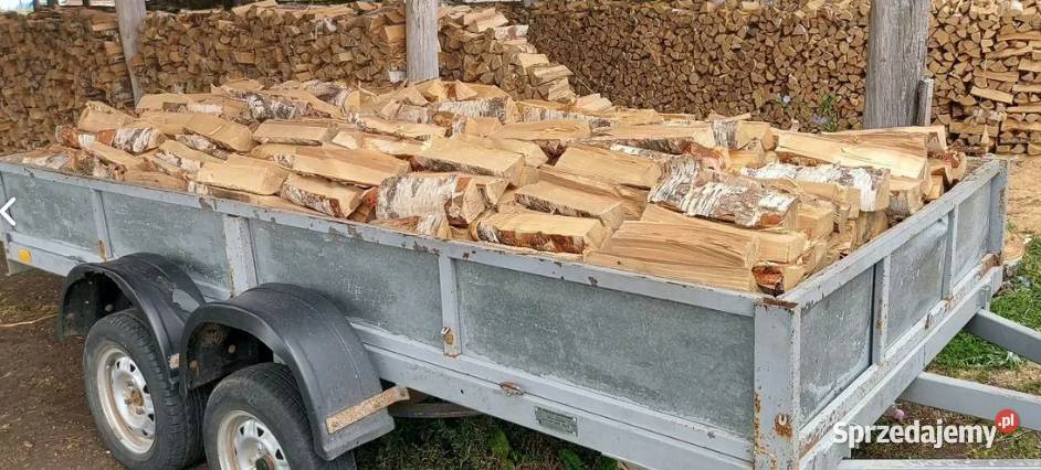 Tanie drewno opałowe Liściasteiglaste Myszków i śląskie