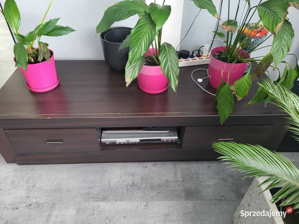 Komoda szafka RTV Miechów