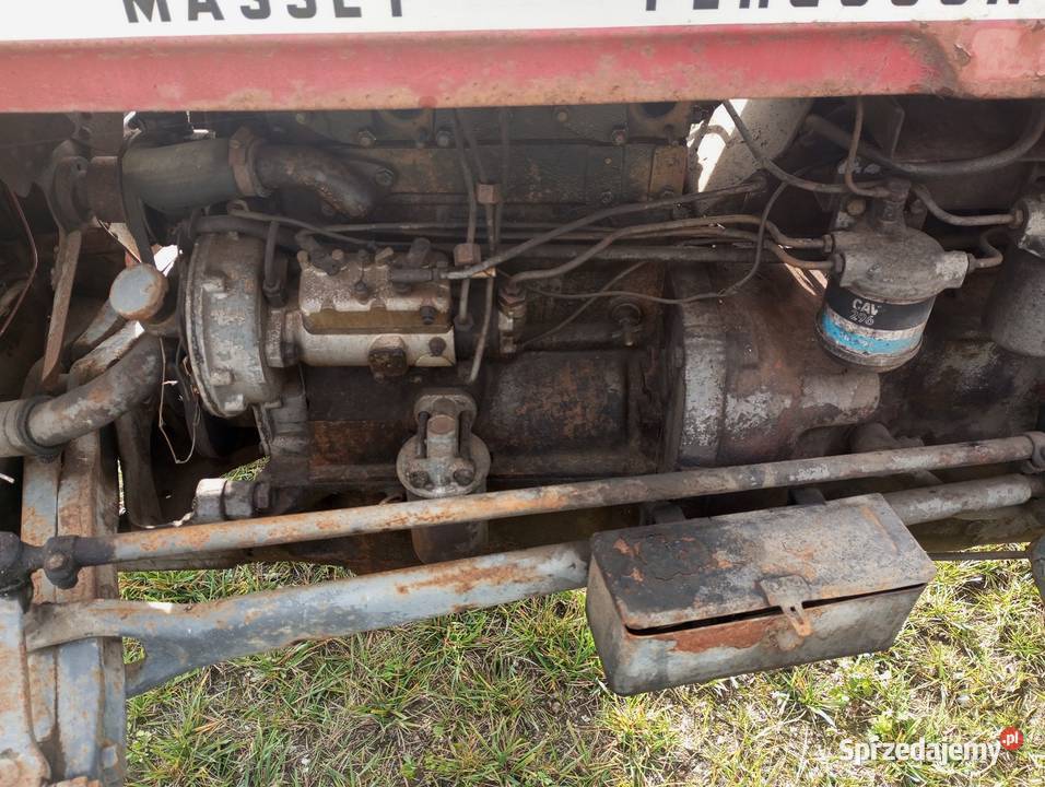 Ciągnik Massey Ferguson Buk