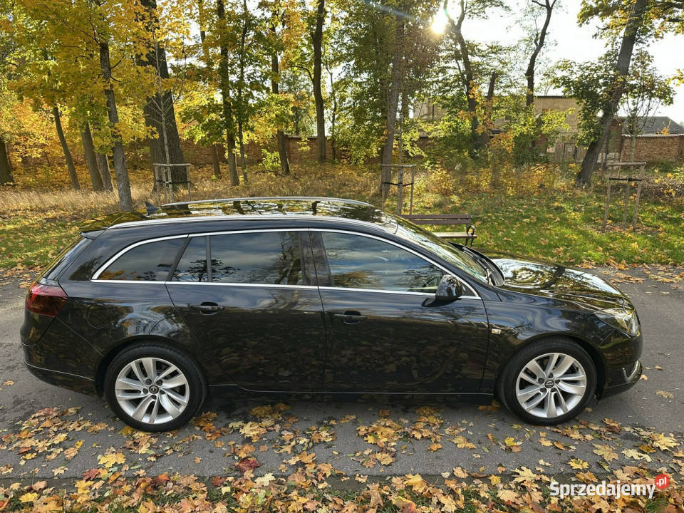 Opel Insignia OPC COSMO Indyvidual 20 BiTurbo Józefkowo