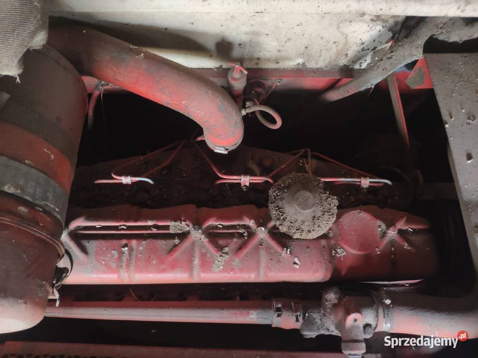 Case International 431 Case IH Kępina sprzedam