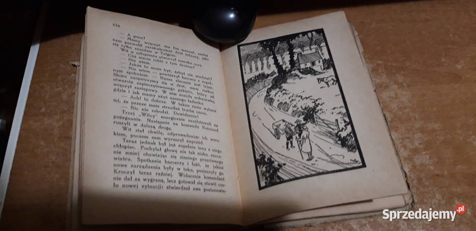 KRYTYCZNA NOC W KERVIZELU DELSUC1932 skauting