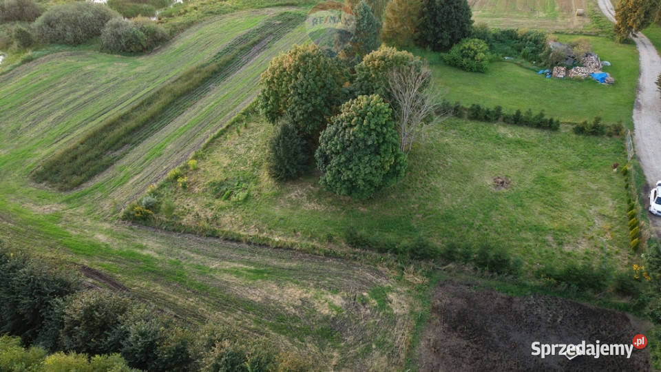 Przezmark 156 ha pod siedlisko inwestycję