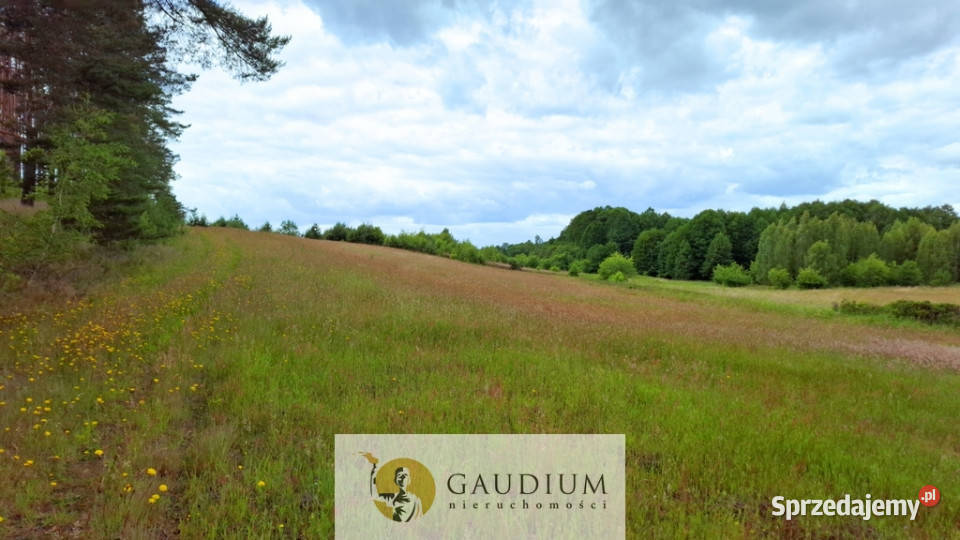 DUŻA DZIAŁKA ROLNA Z LASEM MĘCIKAŁ gm Brusy Męcikał