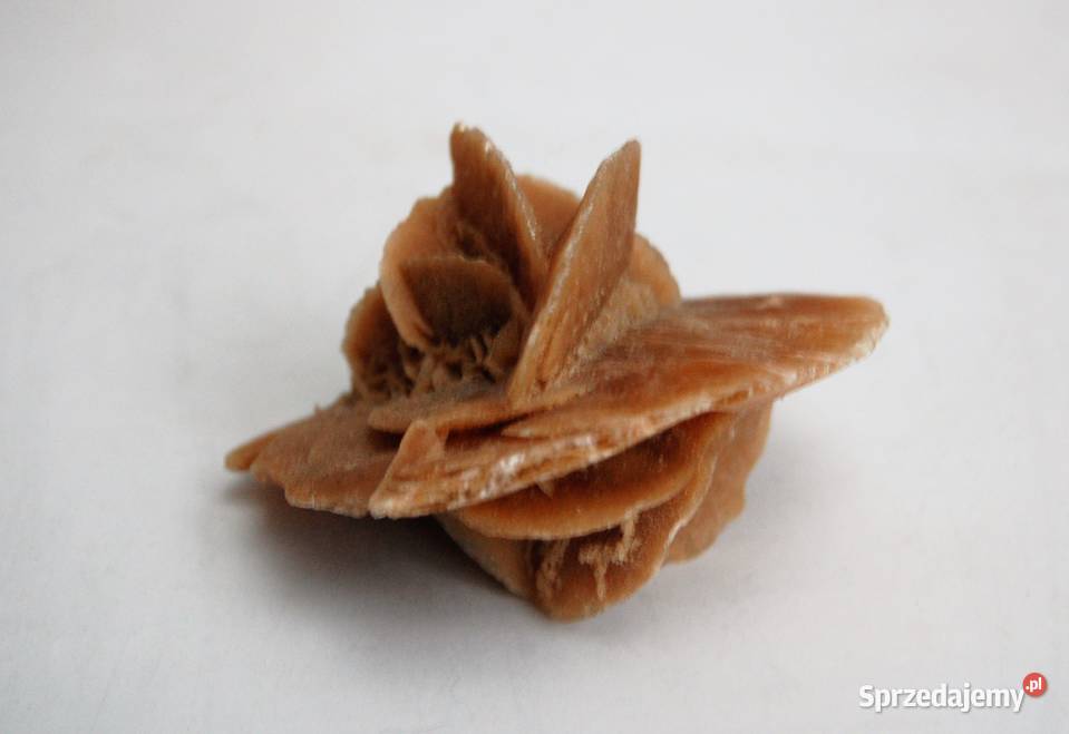 Róża pustyni kamień Sahara 83 Lublin