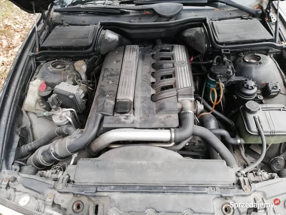 Bmw E39 525 TDS światła przeciwmgielne Lubartów