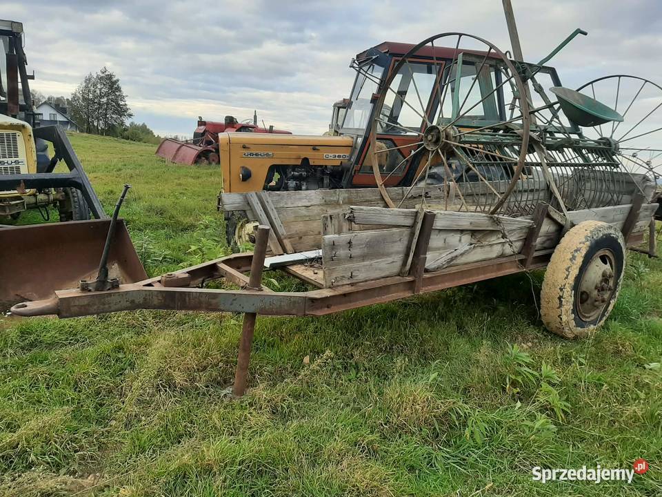 Przyczepa na drewno ziemniaki itp z hamulcem nieuszkodzony Dębica