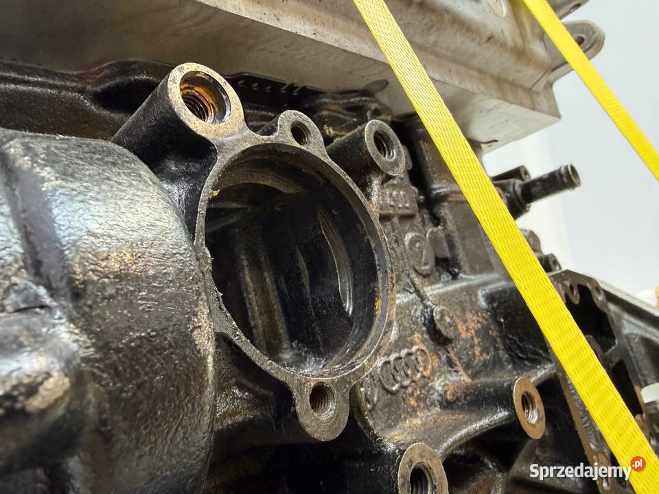 SILNIK CAG CAGA Audi A4 B8 Q5 8R A5 8T Seat Exeo Silniki kompletne Chełm