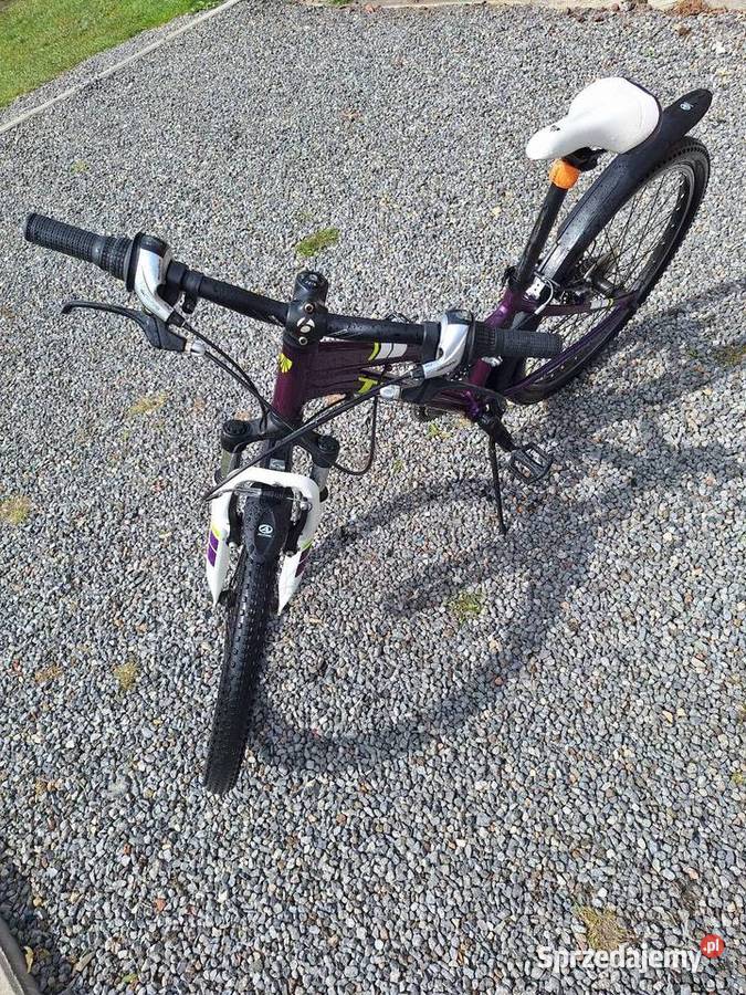 Rower dziecięcy Trek precaliber 24 cale Mikołów sprzedam