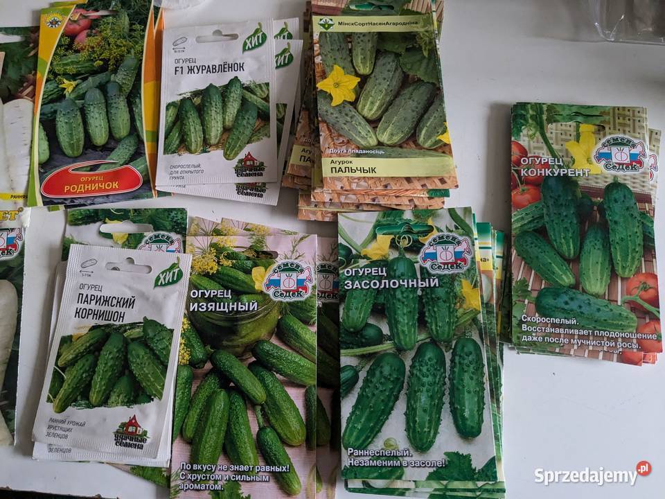 Podniczok PalczikRoznasol Zasolacznyj rosyjskie Kraków