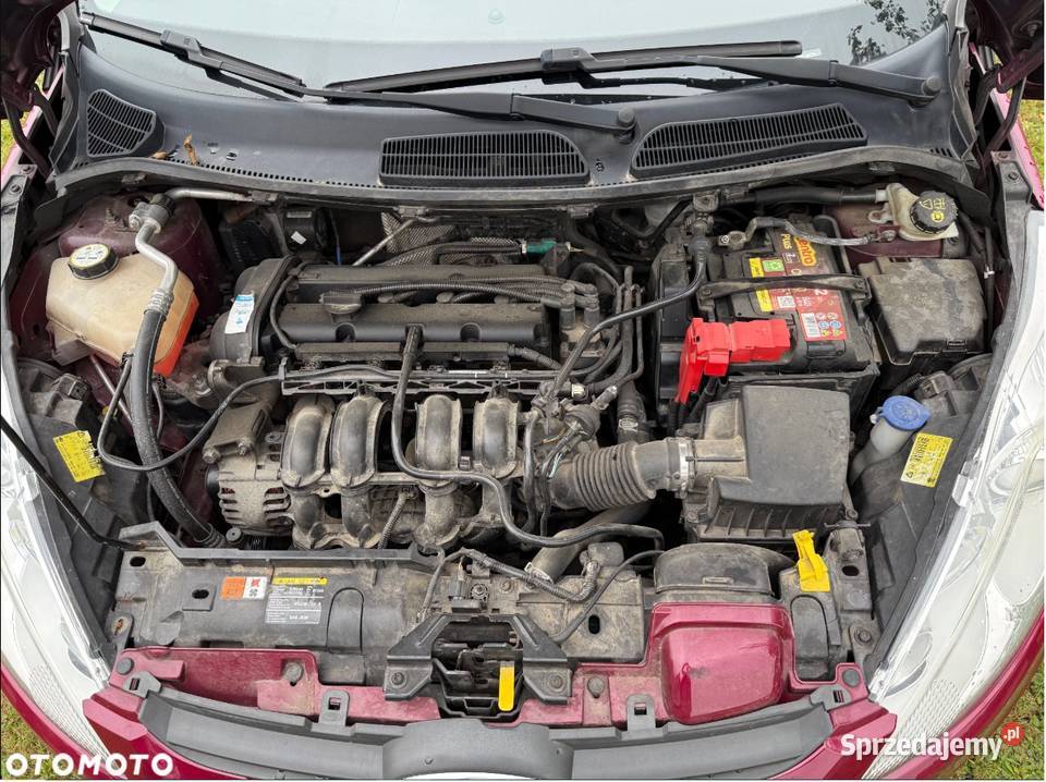 Ford Fiesta Mk7 2008 2017 12 Ghia EU5 nieuszkodzony Łapanów