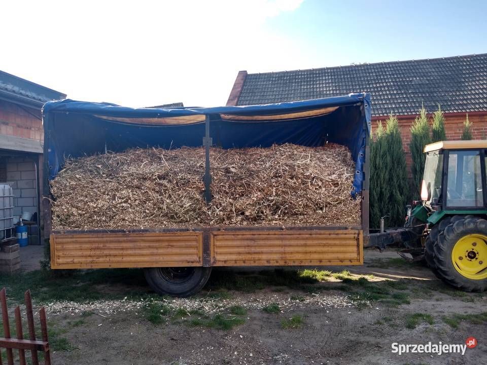 Zrębka z drzew liściastych Sandomierz