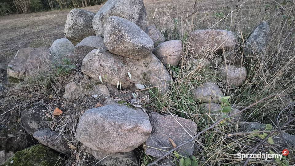 Kamień polny Skrybicze