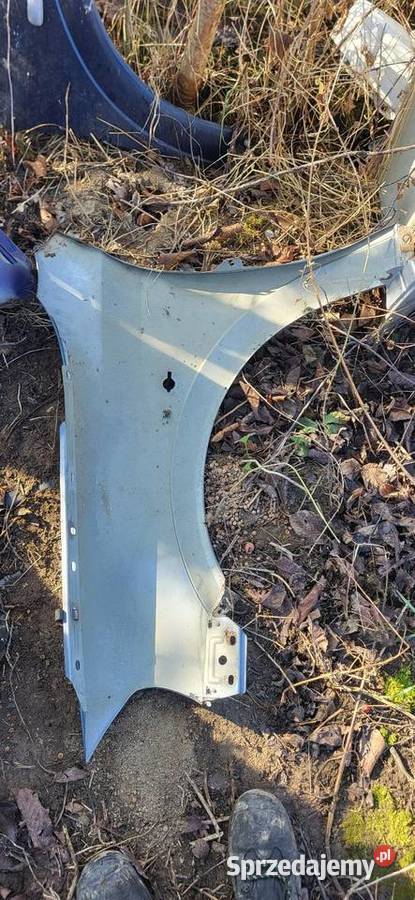 Błotnik Prawy Lewy Astra 2 małopolskie Żabno