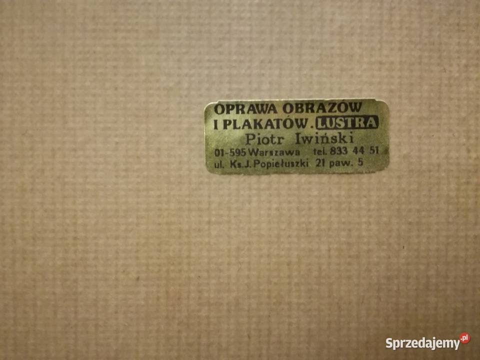 Obraz olejny krajobraz Wileńszczyzny z rzeką Kraków sprzedam