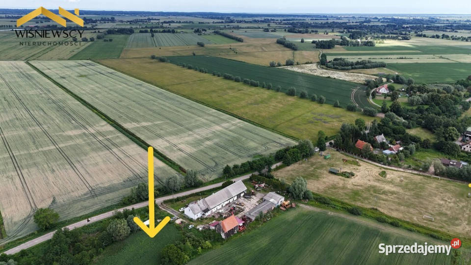 Działka 3120 m z WZ 9 Bałtyku Świerznica sprzedam