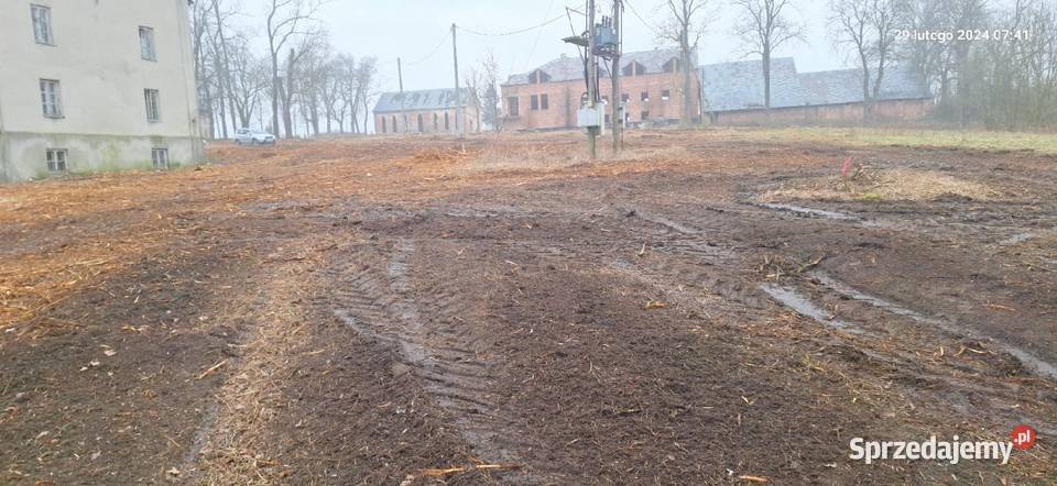 Wycinka drzew Czyszczenie działek Mulczowanie Bełchatów prace ogrodowe