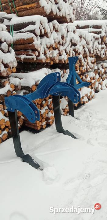 Głębosz 2 zęby zębny