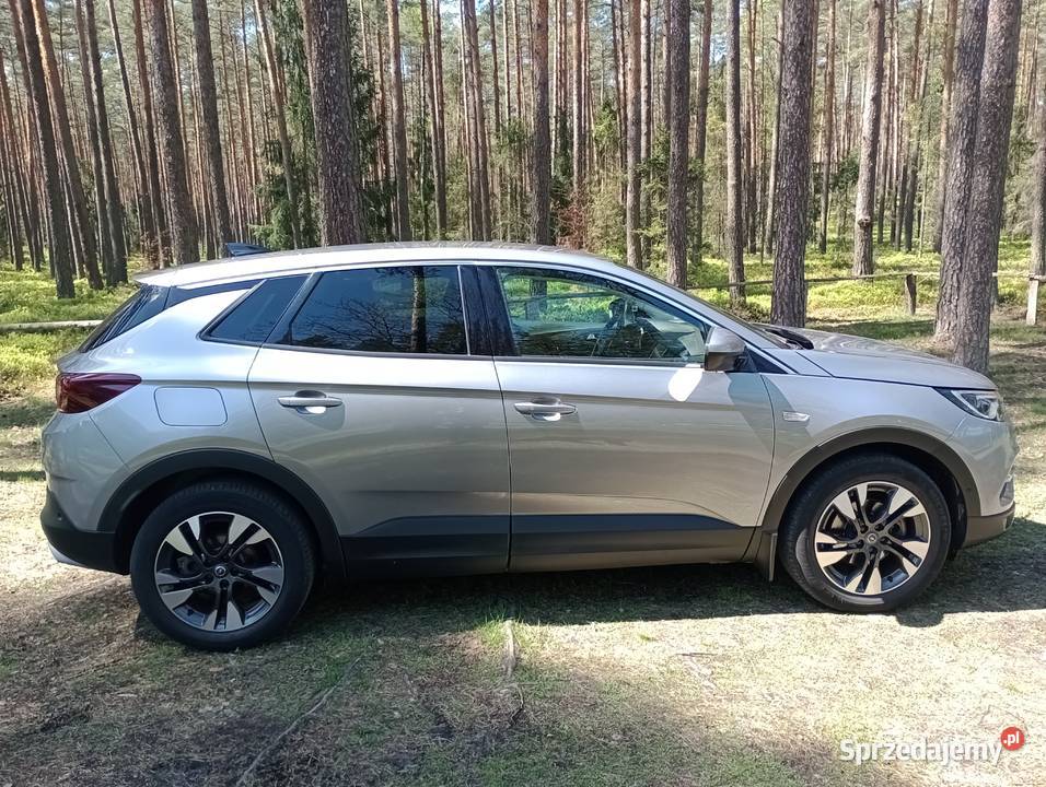 Opel Grandland X pierwszy właściciel mały Tarnowskie Góry