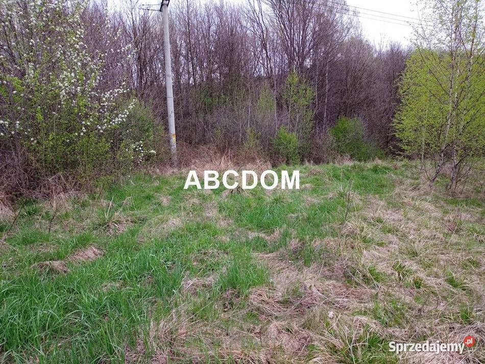 Raciborsko 39 ara łąki Tereny Z las Tereny ZL