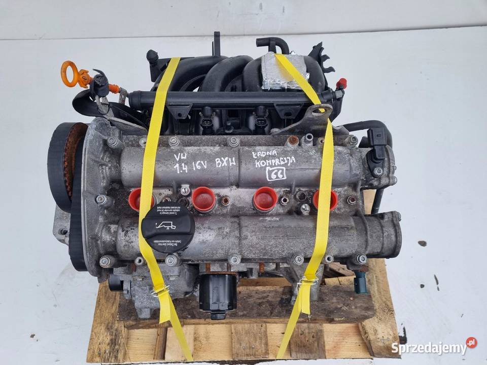SILNIK KOMPLET SILNIK Seat Altea 14 16V 86 146 osobowe Silniki i osprzęt Janów sprzedam