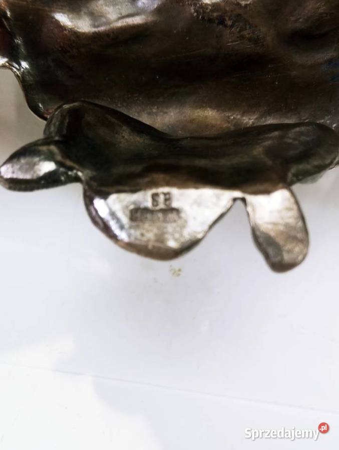 WMF Wizytownik Myśliwski Nowa Sól