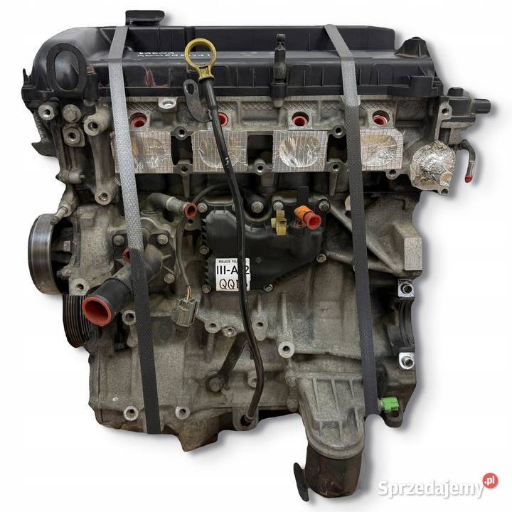 SILNIK QQDB Ford Focus II MK2 C C 18 16V 125 sprzedam