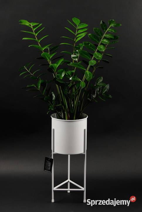 Kwietnik Metalowy Stojak na kwiaty z donicą 50 Sobienie-Jeziory