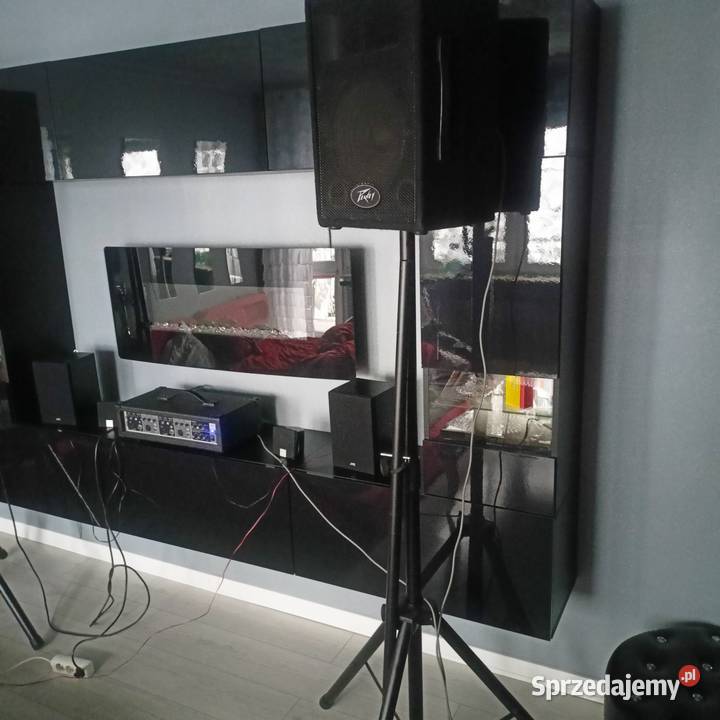 PEVEY ZESTAW NAGŁOŚNIENIE PASYWNE 100 w kolumny Sprzęt estradowy, studyjny i DJ-ski Ropczyce sprzedam