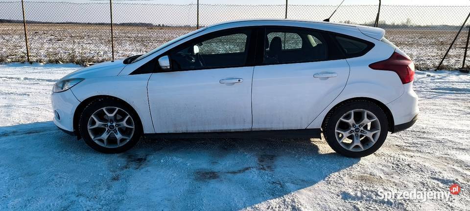 Fort Focus SALON POLSKA ZAMIANA