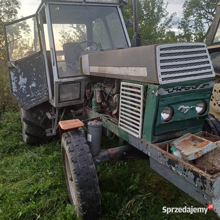 Ursus 1212 wielkopolskie Wieleń