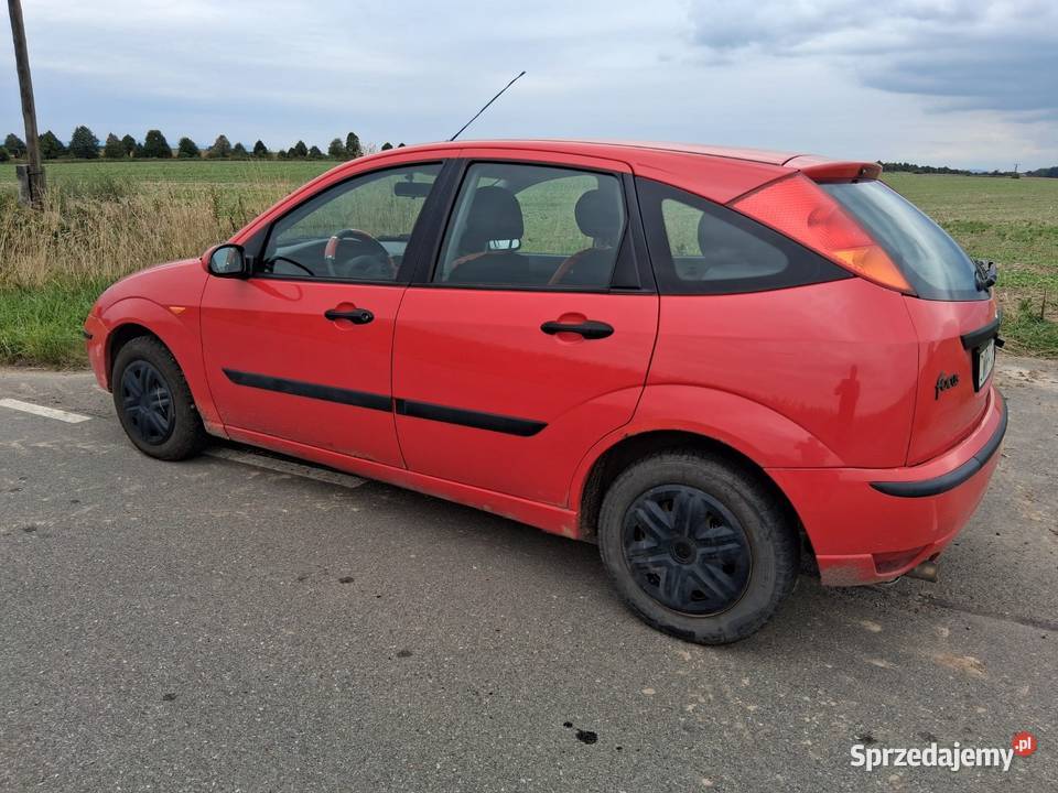 Ford Focus 2004rBęzynaklima sprawna nowe opony Rok produkcji 2004 Strzelin sprzedam