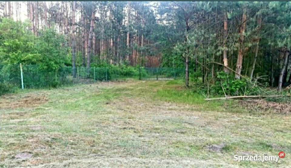 Dzialka budowlana las, woda, prąd.