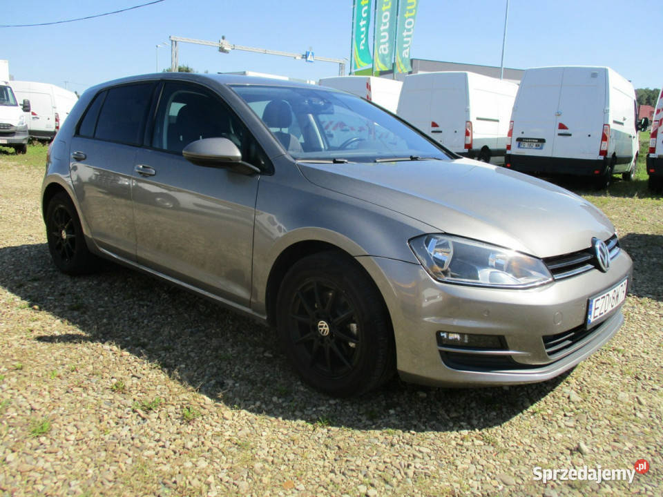 Volkswagen Golf 16 TDI 105 DSG VII 2012 szary Dębica sprzedam