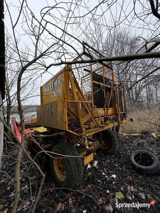 Kombajn buraczany Kleine 5002 automatic Kazimierzewo