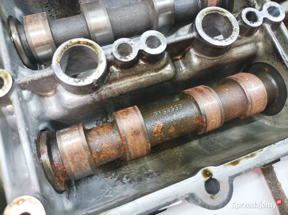 GŁOWICA KOMPLETNA 55565883 19 CDTI Opel Signum I Rok produkcji 2008