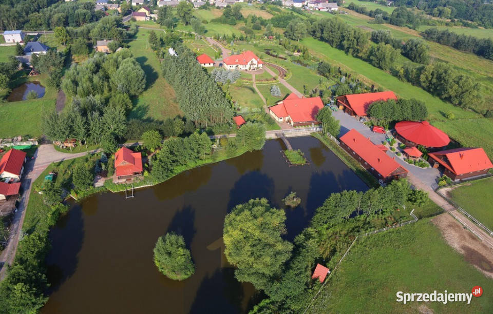 Gospodarstwo rolne w gminie Karczewhodowla koni Całowanie