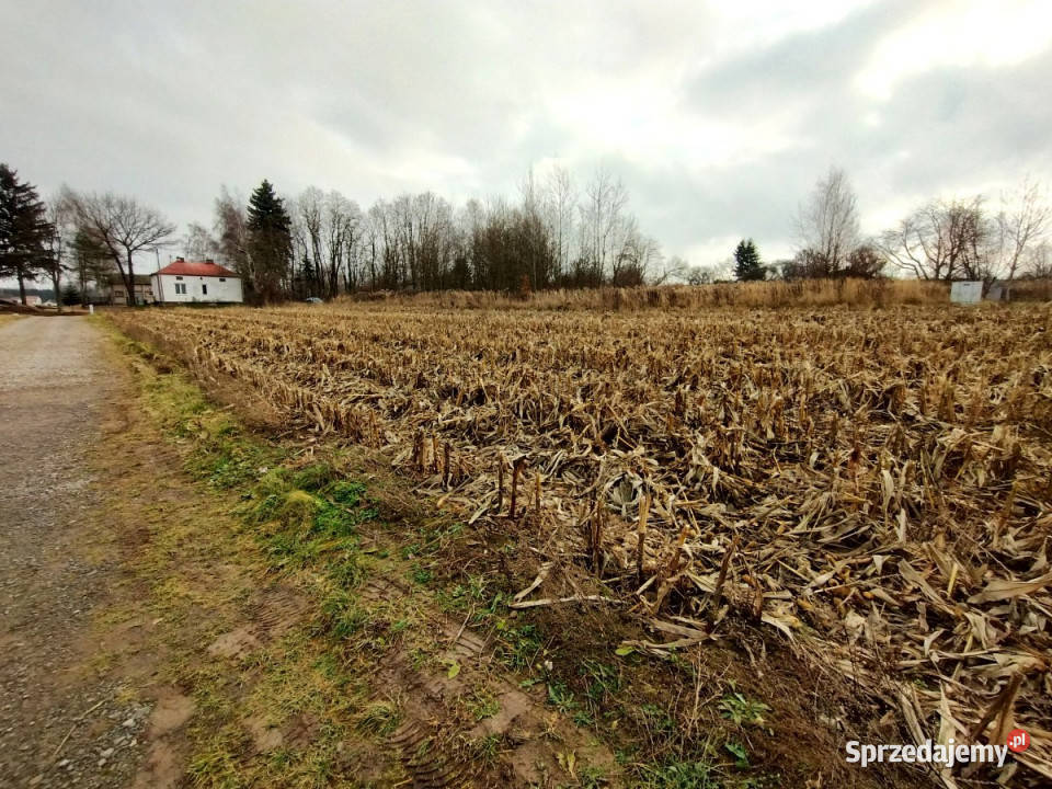 Sprzedam grunt 1700m2 PłouszowiceKolonia Płouszowice-Kolonia