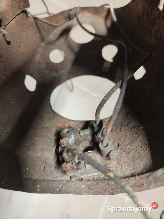 Lampa Komar sztywniak lubuskie Gorzów Wielkopolski