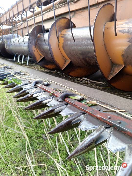 Bizon super zo56 kombajn rekord