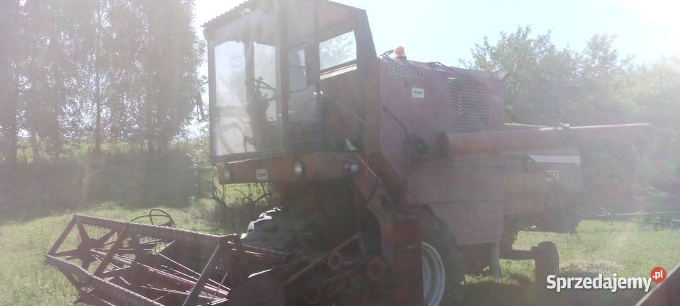 Bizon 56 Bizon Morawica