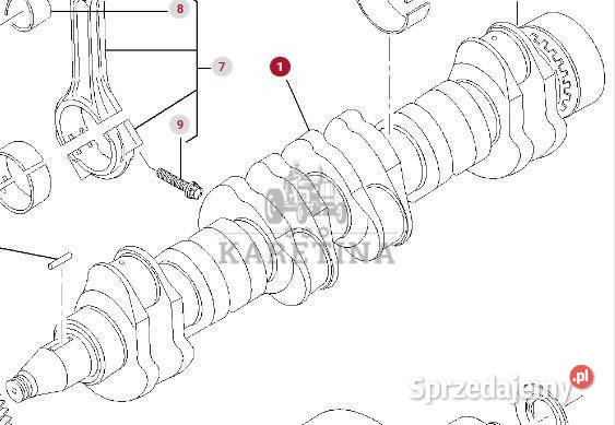 Massey Ferguson 8480 Wał Korbowy CZĘŚCI wielkopolskie Jastrzębniki