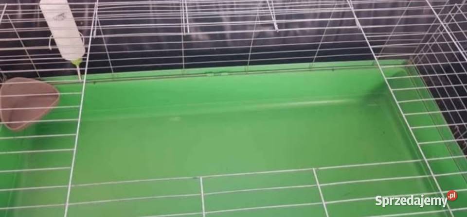 Duża klatka królika świnki morskiej Lwówek Śląski