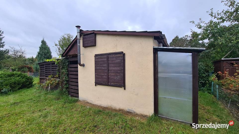 Działka Rekreacyjna 300 m2 Aronia Działkowiec 300m2 dolnośląskie Wrocław sprzedam