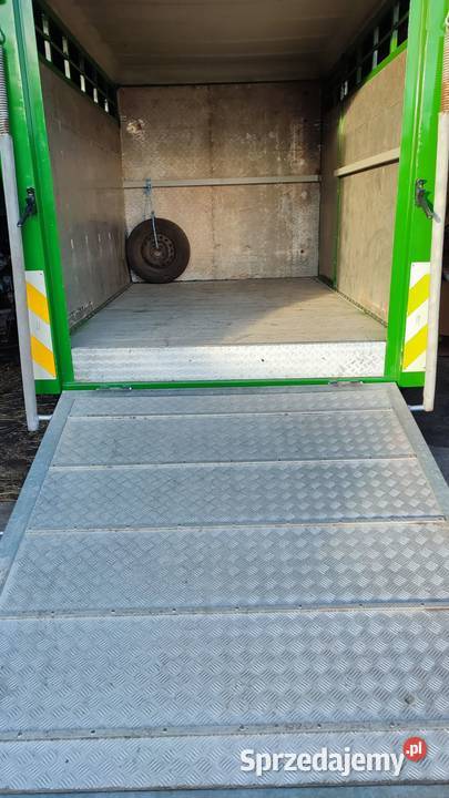 Volkswagen Lt35 do przewozu zwierząt 2500cm3 Świecie sprzedam
