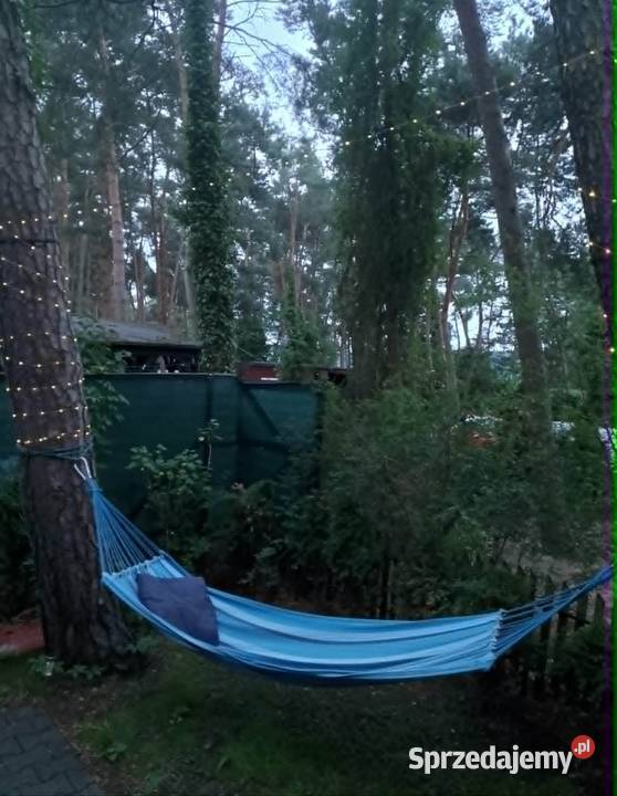 DOMEK LETNISKOWY w GRZYBOWIE koło Skoków 50m2 Skoki sprzedam